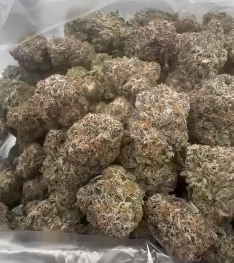 Black Cherry